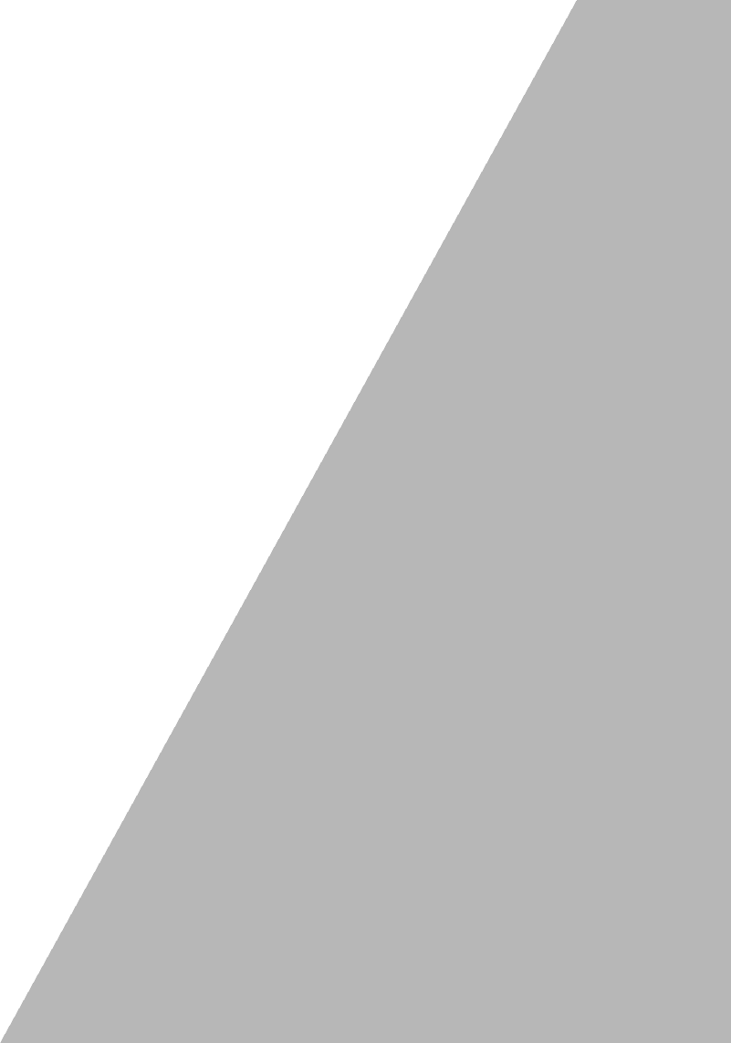 Vector decorativo triangular